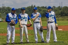 aacubs_16_2_20130602_1750664247