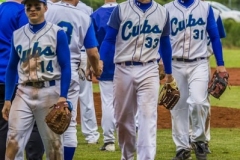 aacubs_16_2_20130602_2040290049