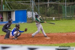 aacubs_16_3_20130602_1470646782