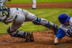 aacubs_16_3_20130602_1843489689