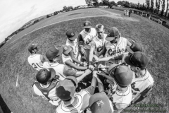 aacubs_16_4_20130602_1042679522