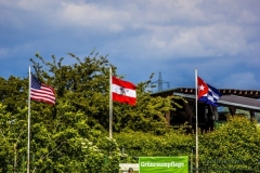 aacubs_16_4_20130602_1764689962