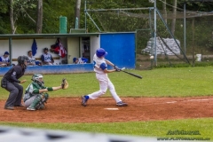 aacubs_16_5_20130602_1669627140