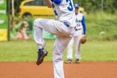 aacubs_16_6_20130602_1026514395