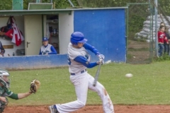 aacubs_16_6_20130602_1692681981