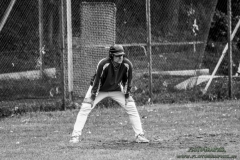 aacubs_16_7_20130602_1776429544