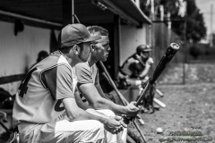 aacubs_16_8_20130602_1818778362