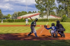 aacubs_16_9_20130602_1113820784