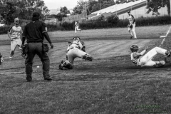 aacubs_16_9_20130602_1534249531