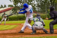 aacubs_16_9_20130602_1811687606