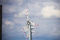 aacubs_16_9_20130602_2047024310