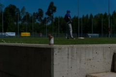 2017-05-28_BB_BLA_Cubs@Cardinals_Game-1101-creographix-6