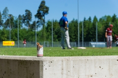 2017-05-28_BB_BLA_Cubs@Cardinals_Game-1101-creographix-7