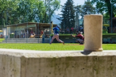 2017-05-28_BB_BLA_Cubs@Cardinals_Game-1103-creographix