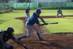 cubsblue_bats_5_20130312_1681299870