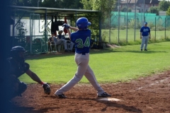 cubsblue_bats_61_20130312_1835493565