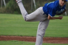 cubsblue_bats_63_20130312_1495627724