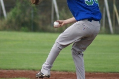 cubsblue_bats_64_20130312_1414119338