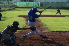 cubsblue_bats_65_20130312_1742617657