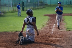 cubsblue_bats_66_20130312_1555209096