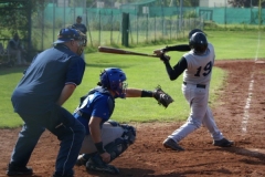 cubsblue_bats_67_20130312_1213233176