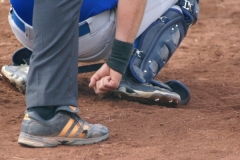 cubsblue_bats_6_20130312_2057099154