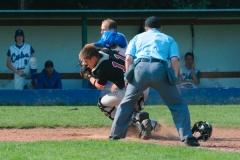 cubsducks_49_20130313_1620796300