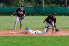 cubsducks_4_20130313_1285330225