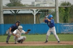 cubsducks_64_20130312_1741405106