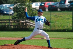 cubsducks_64_20130313_1802853445