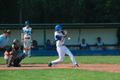 cubsducks_65_20130313_1034389132