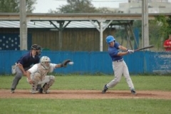 cubsducks_68_20130312_1764539302