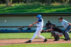 cubsducks_72_20130313_1266663125