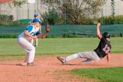 cubsducks_79_20130313_1094782641