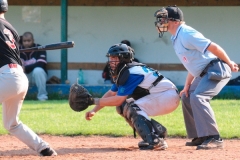 cubsducks_82_20130313_1004899209