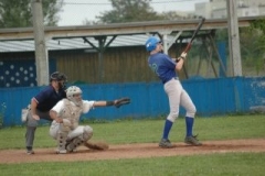 cubsducks_87_20130312_1923877987