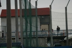 cubsducks_88_20130312_1187334590