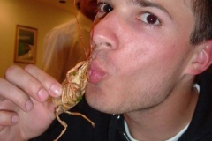 rimini_2007_68_20130313_1688387282