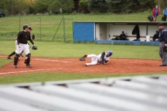 tigerscubs_60_20130313_1755575215