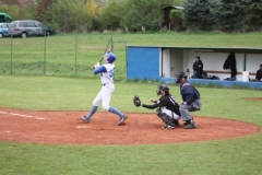 tigerscubs_66_20130313_1130073695