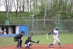 tigerscubs_69_20130313_1538244647