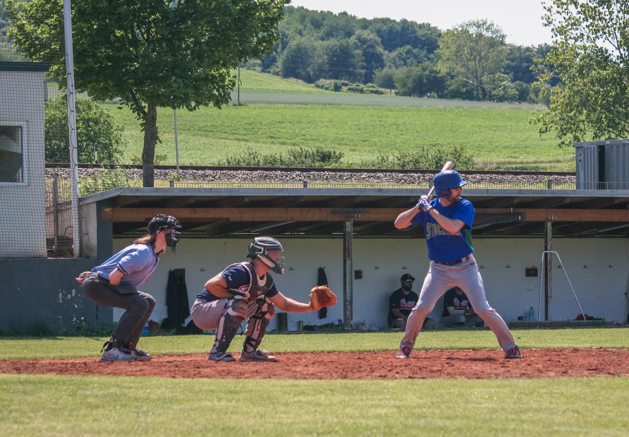 Erfolgreicher Vatertag für Cubs bei den verrückten Gänsen