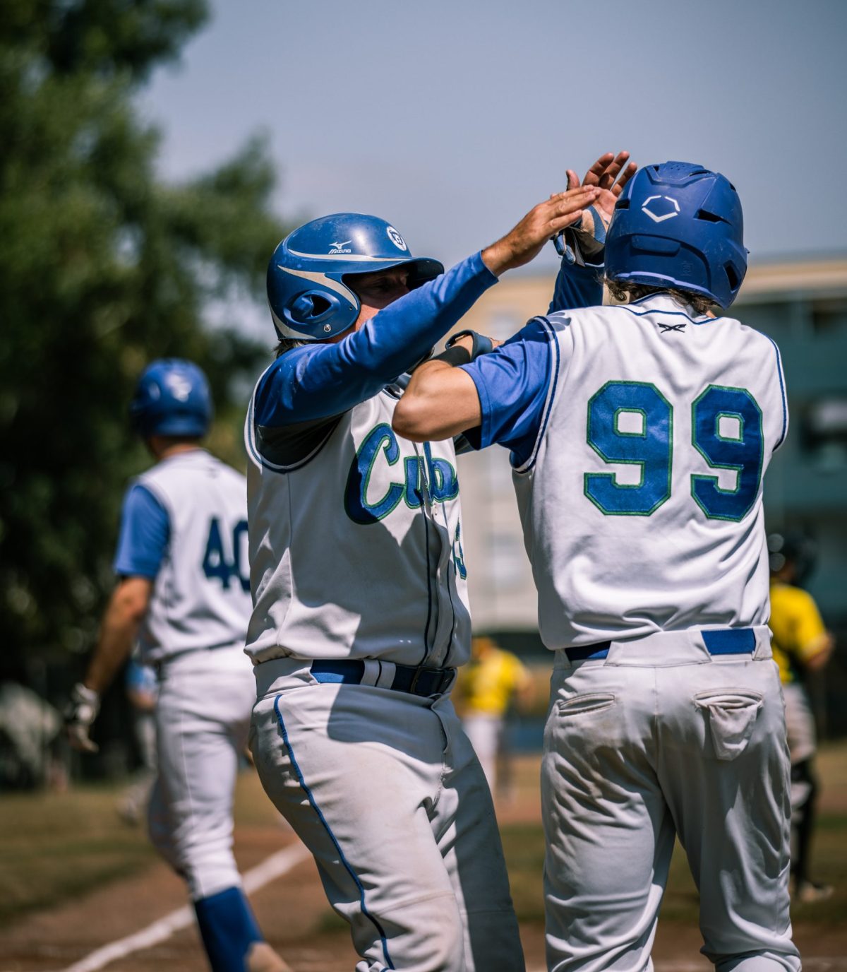 Awards! Auf diesen Positionen waren die Cubs heuer Spitze
